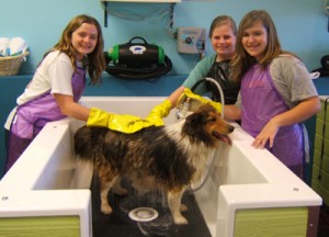3_girls_dog