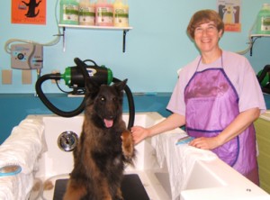 dog_holding_paw_owner